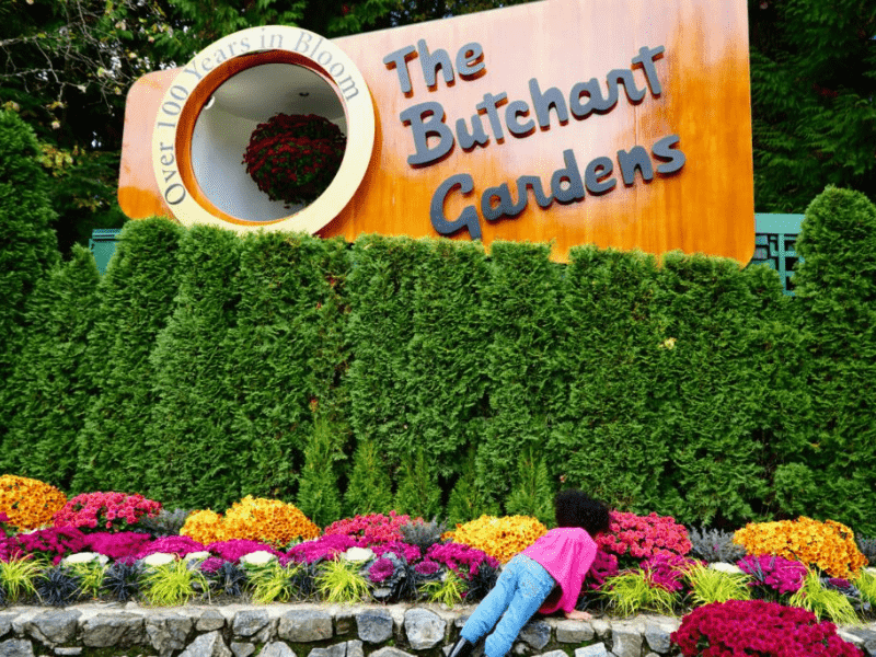 butchart-gardens