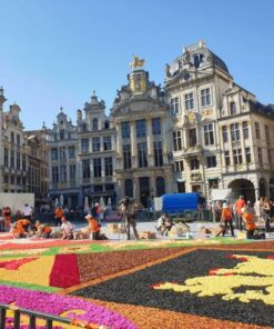 quang-truong-grand Place